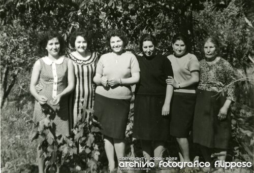 foto-gruppo-in-campagna-1964